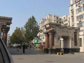 石家庄公寓最新爆料电话,电话曝光，揭秘神秘项目详情